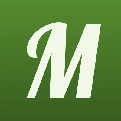 Монте-пласто, интернет-магазин, лого-визитка